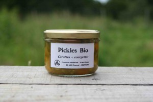 PICKLES-carottes courgettes-bd